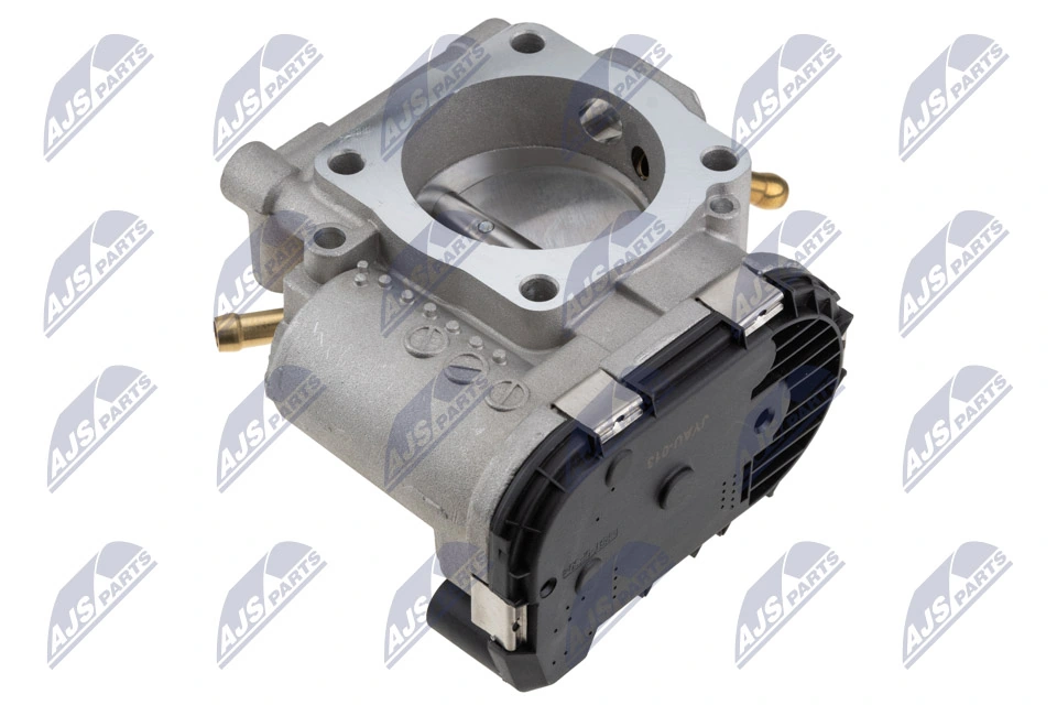 Throttle Body ETB-AU-013