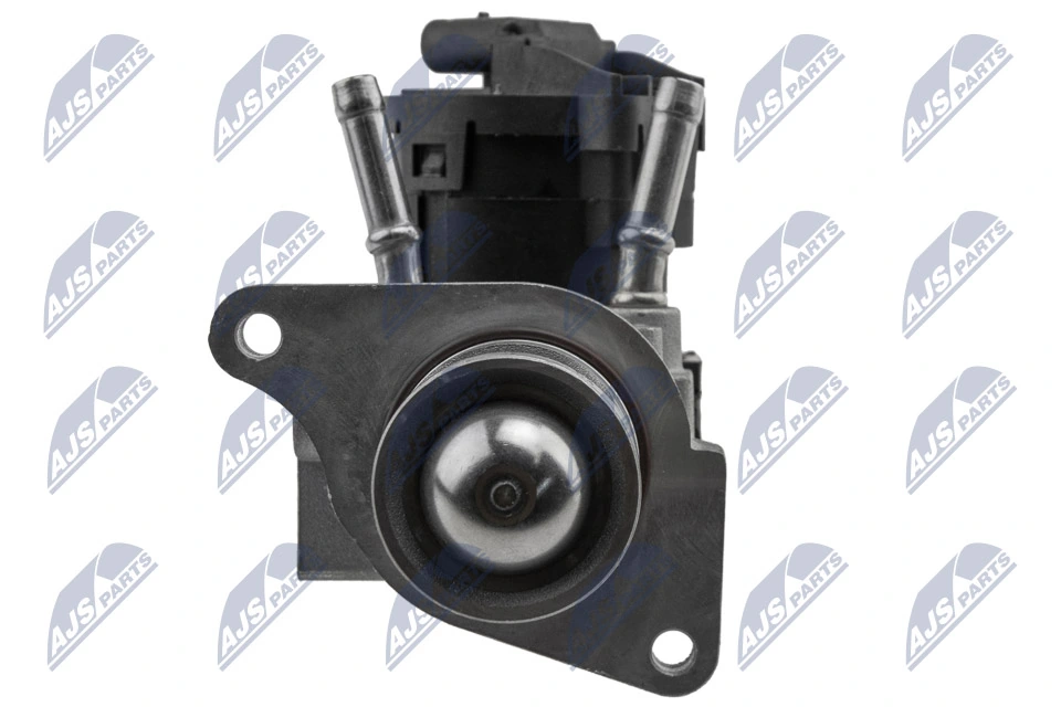 EGR Valve EGR-BM-009