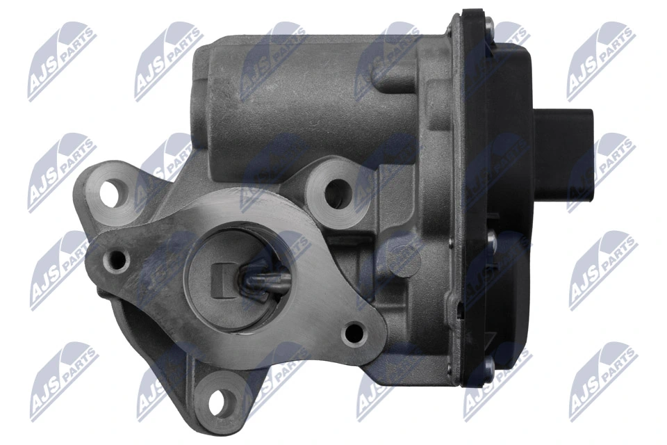 EGR Valve EGR-RE-019