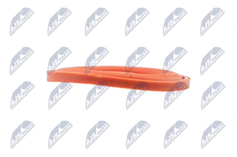 Cylinder Head Cover BPZ-PL-006