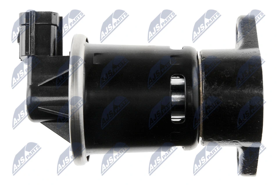 EGR Valve EGR-DW-001