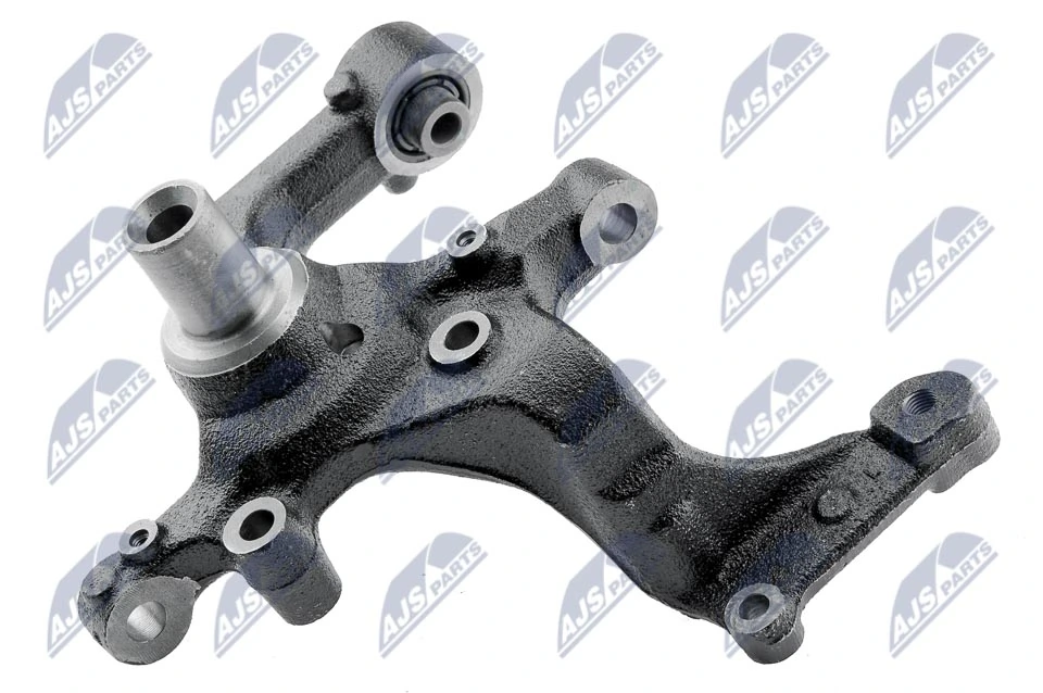 Steering Knuckle, wheel suspension ZZT-AU-000