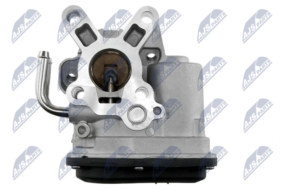 EGR Valve EGR-NS-003