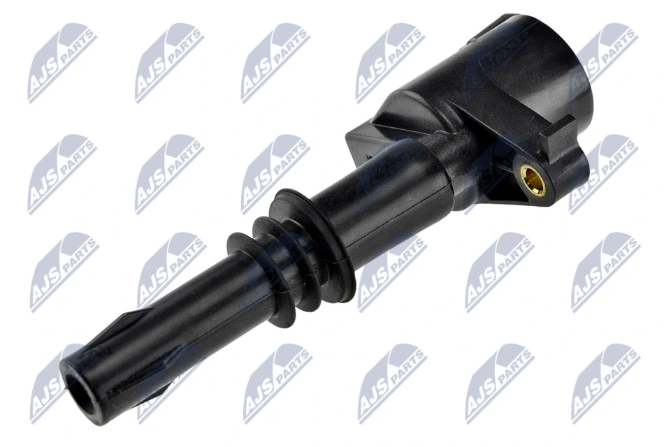 Ignition Coil ECZ-FR-009
