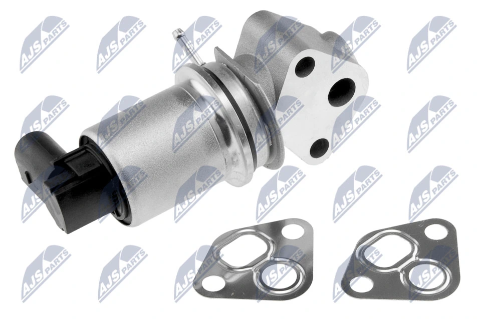 EGR Valve EGR-AU-014