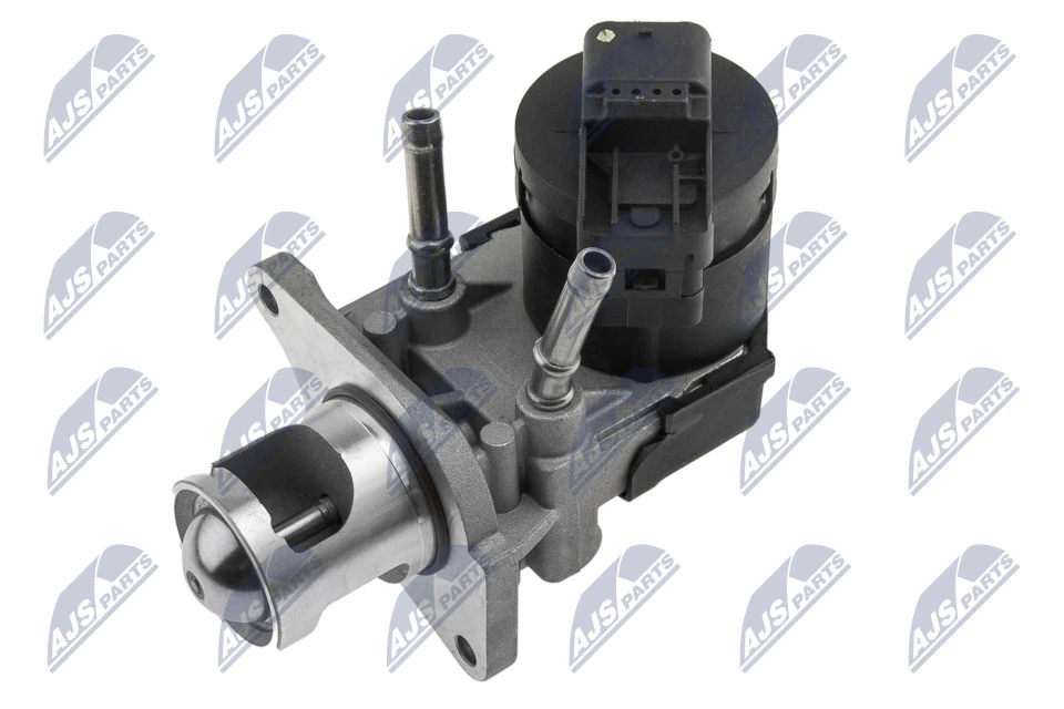 EGR Valve EGR-BM-009