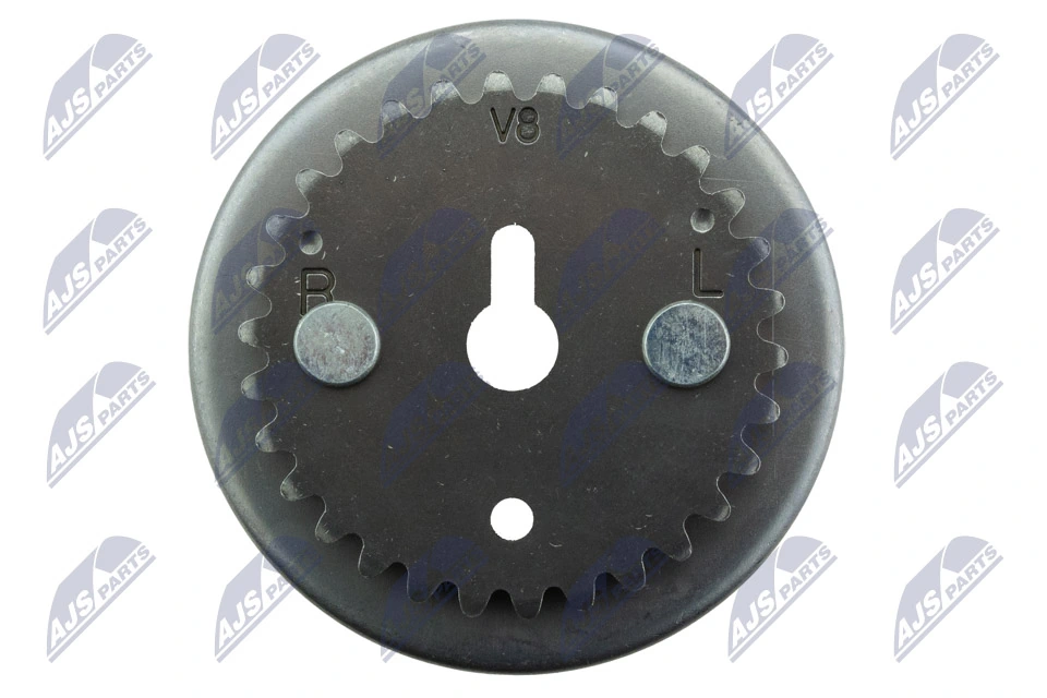 NTY RZR-CH-000 Timing Chain Kit