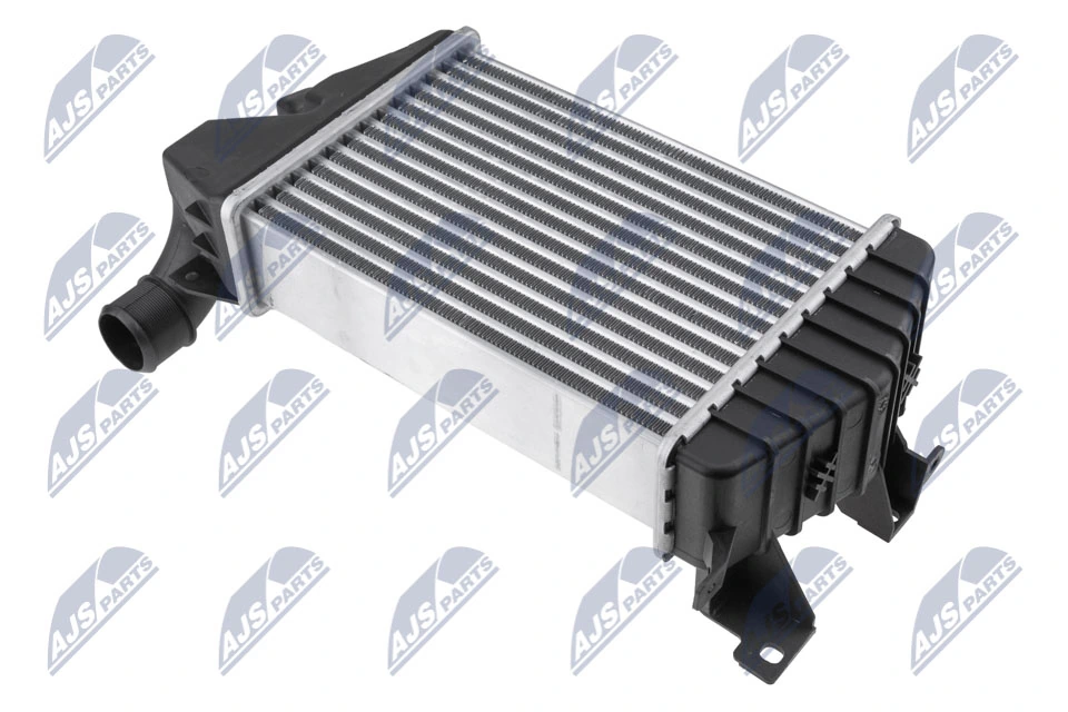 Charge Air Cooler CNG-PL-011