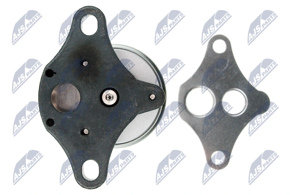 EGR Valve EGR-PL-005