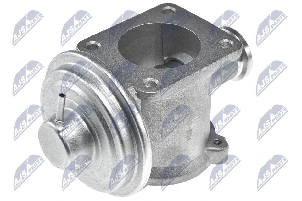 EGR Valve EGR-BM-001