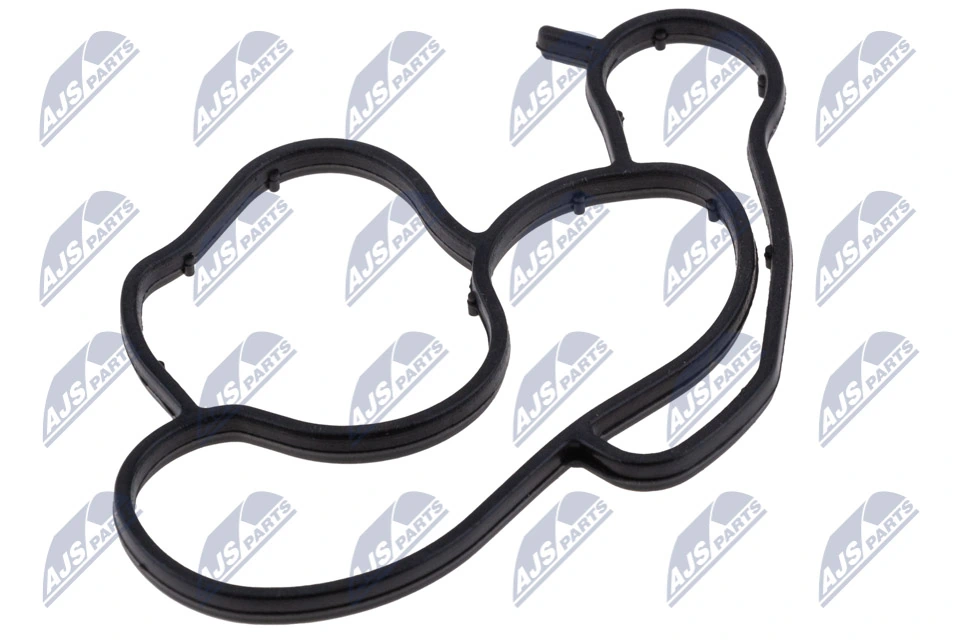 Gasket, oil cooler CCL-BM-081