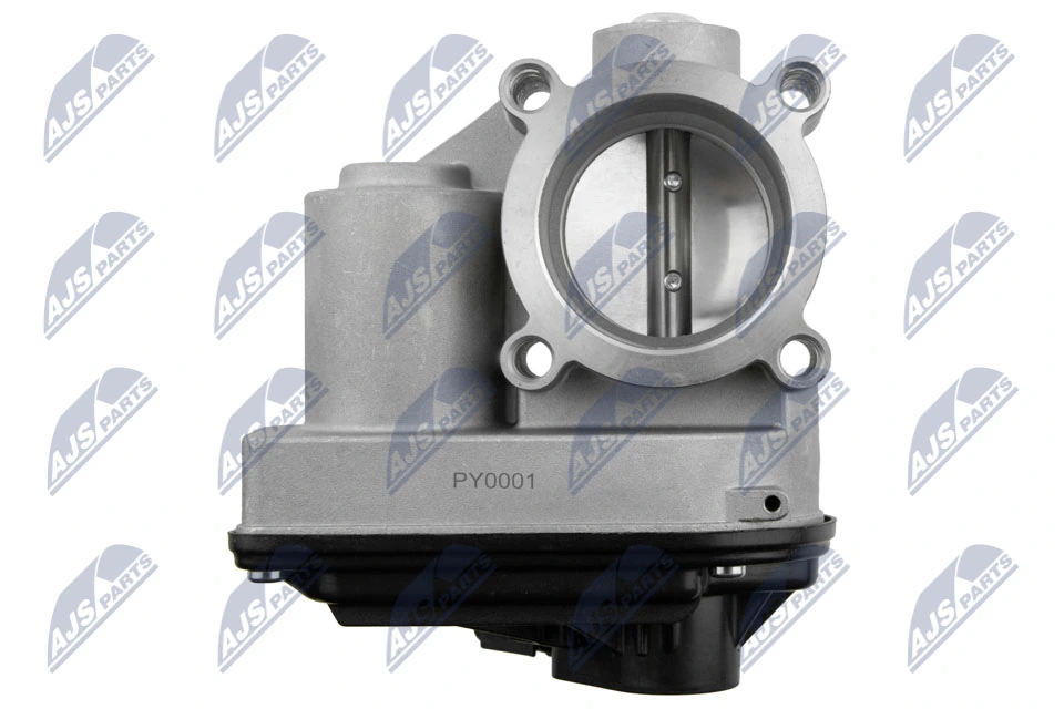Throttle Body ETB-FR-001