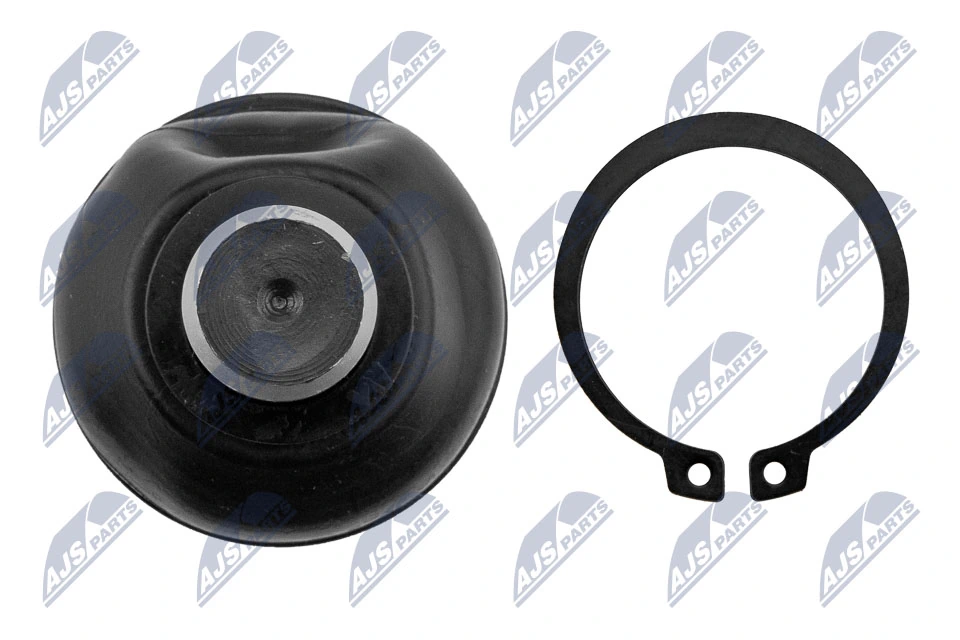 Ball Joint ZST-NS-004