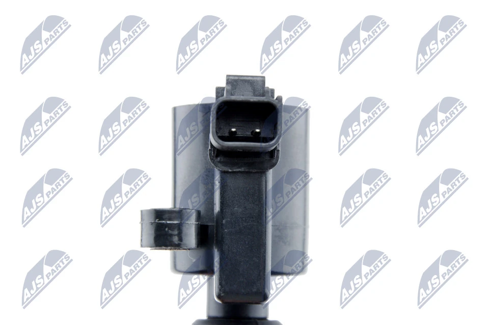 Ignition Coil ECZ-FR-029