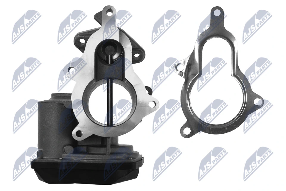 EGR Valve EGR-AU-005