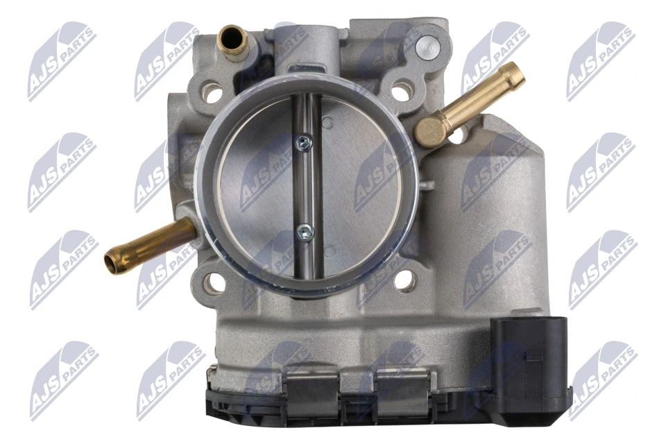 Throttle Body ETB-AU-013