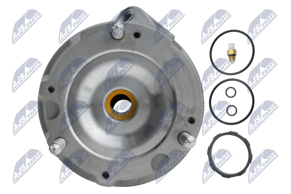 Air Suspension Strut EZC-PS-019