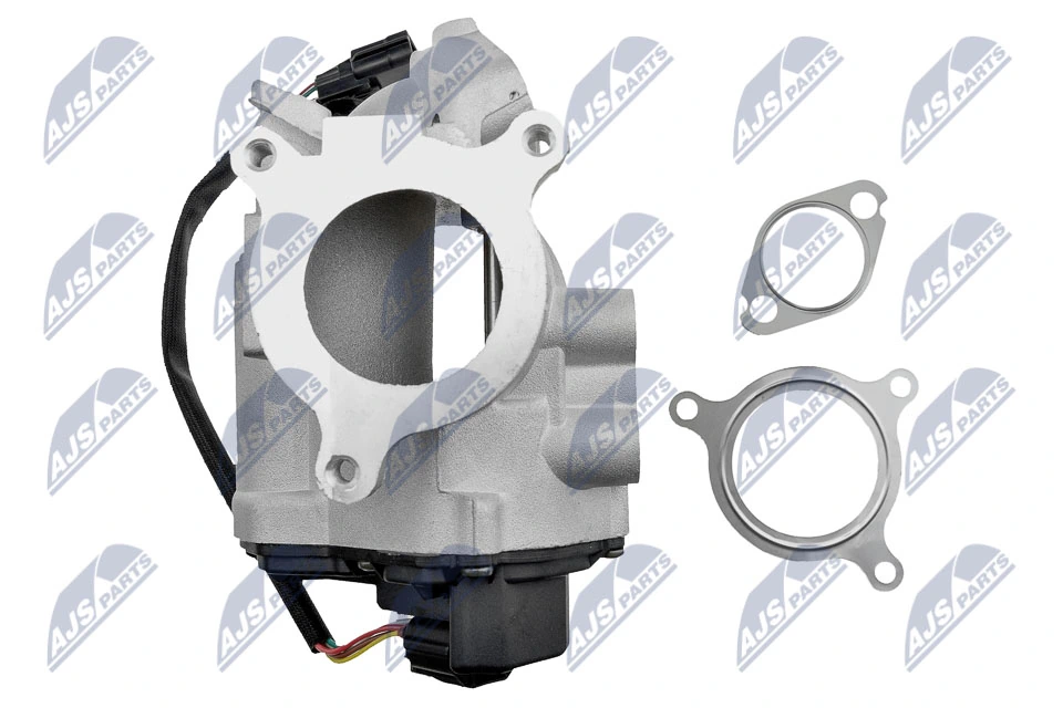 EGR Valve EGR-RE-012