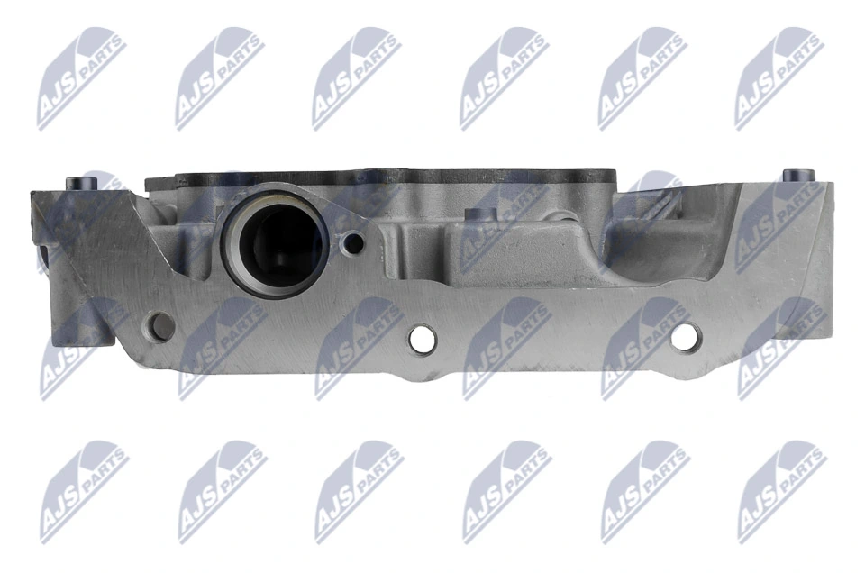 Oil Pump BPO-FR-003