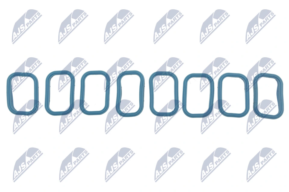 Gasket Set, intake manifold BKS-FR-010