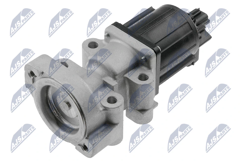 EGR Valve EGR-MS-005