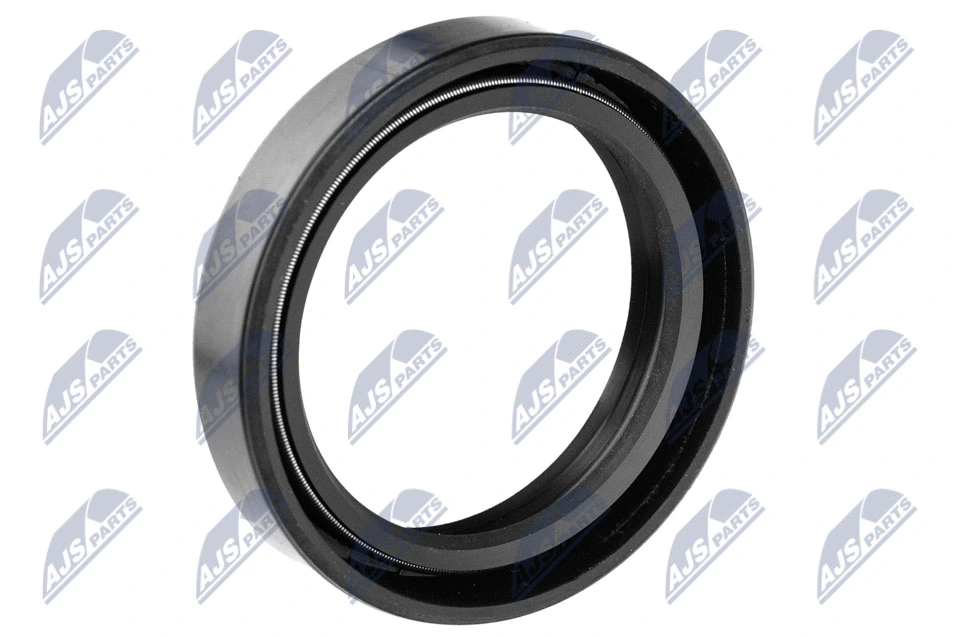 Shaft Seal, differential NUP-MS-001