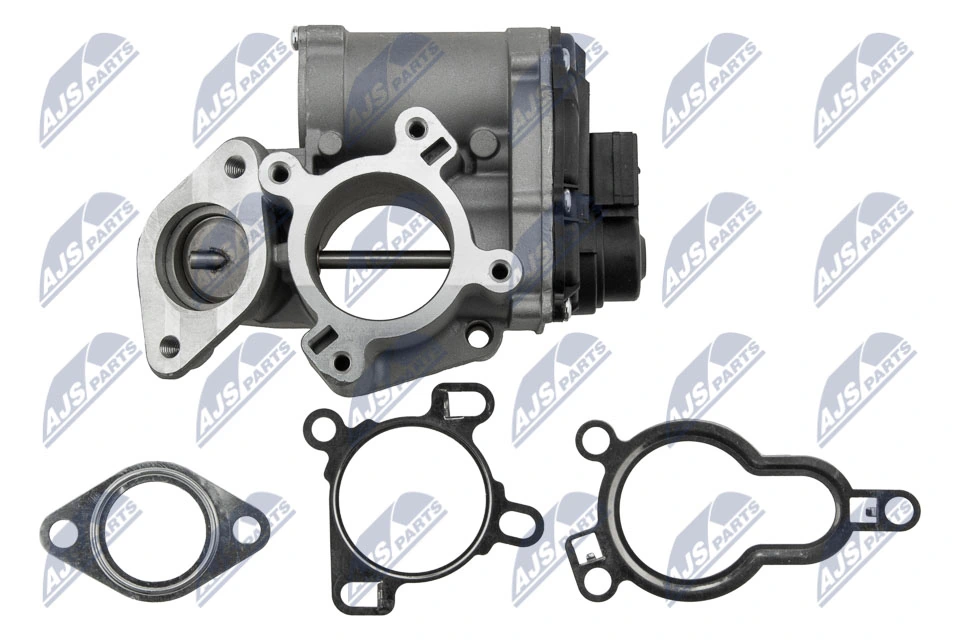 EGR Valve EGR-RE-020