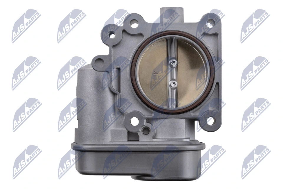 Throttle Body ETB-PL-011
