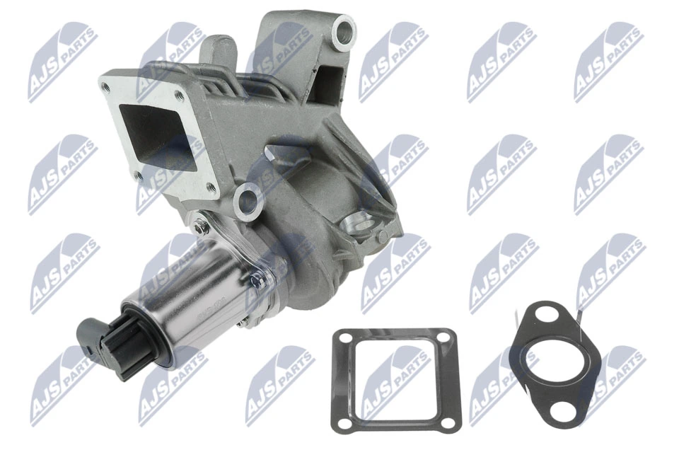 EGR Valve EGR-RE-006