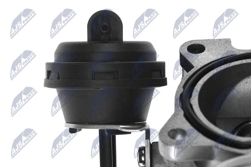EGR Valve EGR-AU-003