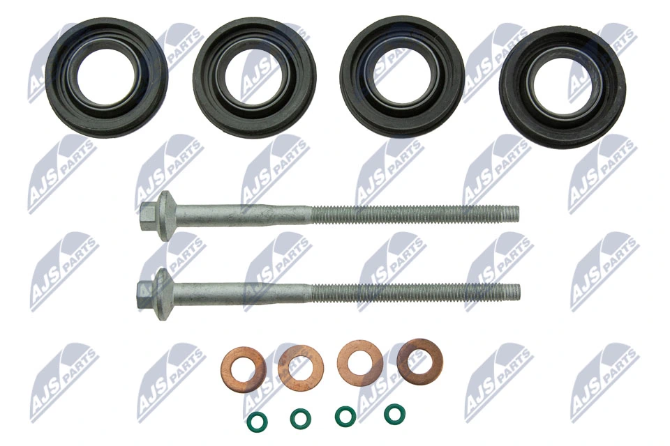 Seal Kit, injector nozzle BWP-CT-004