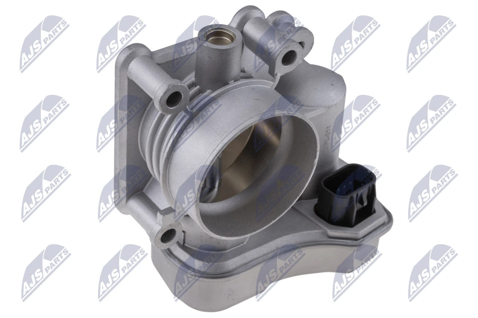 Throttle Body ETB-PL-011