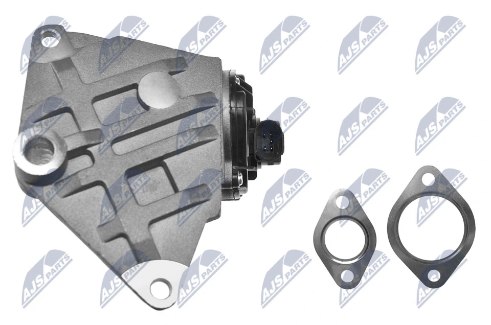 EGR Valve EGR-AU-011