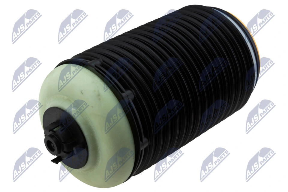 Air Suspension Strut EZC-AU-187