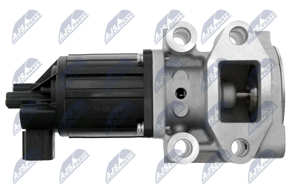 EGR Valve EGR-MS-002