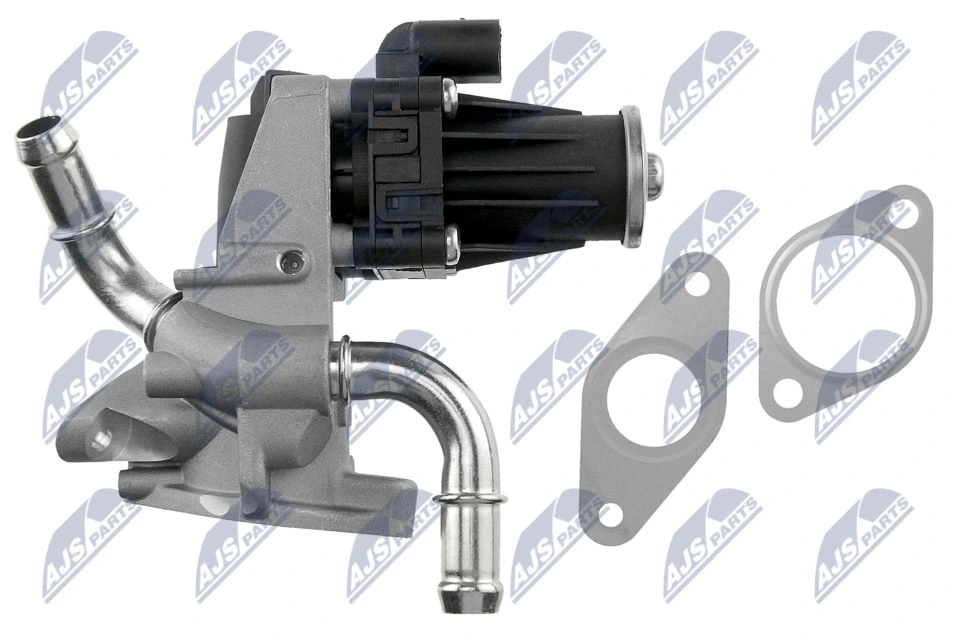 NTY EGR-FR-007 EGR Valve