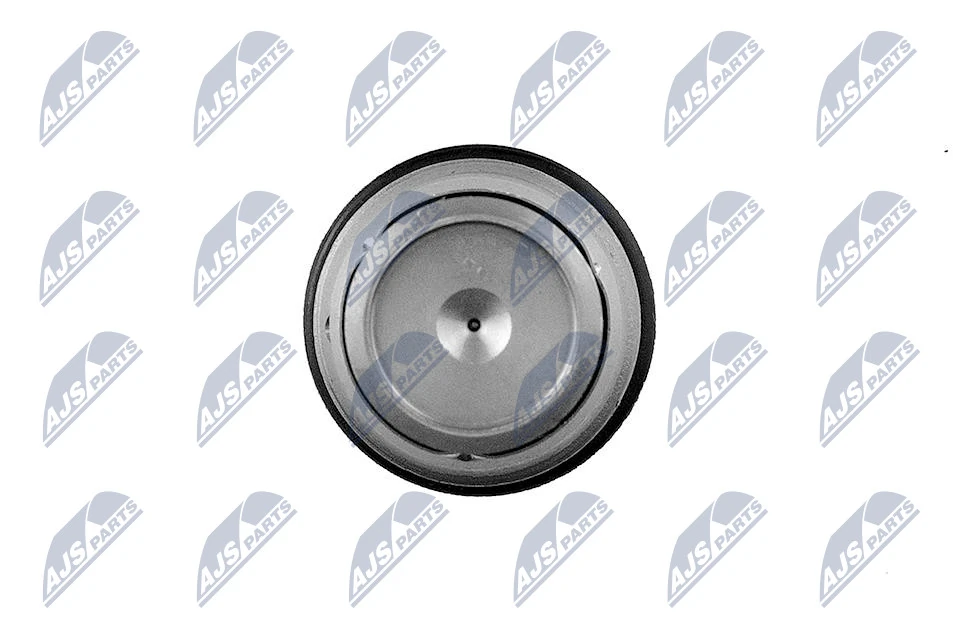 Pressure Limiting Valve, common rail system ESCV-RE-000