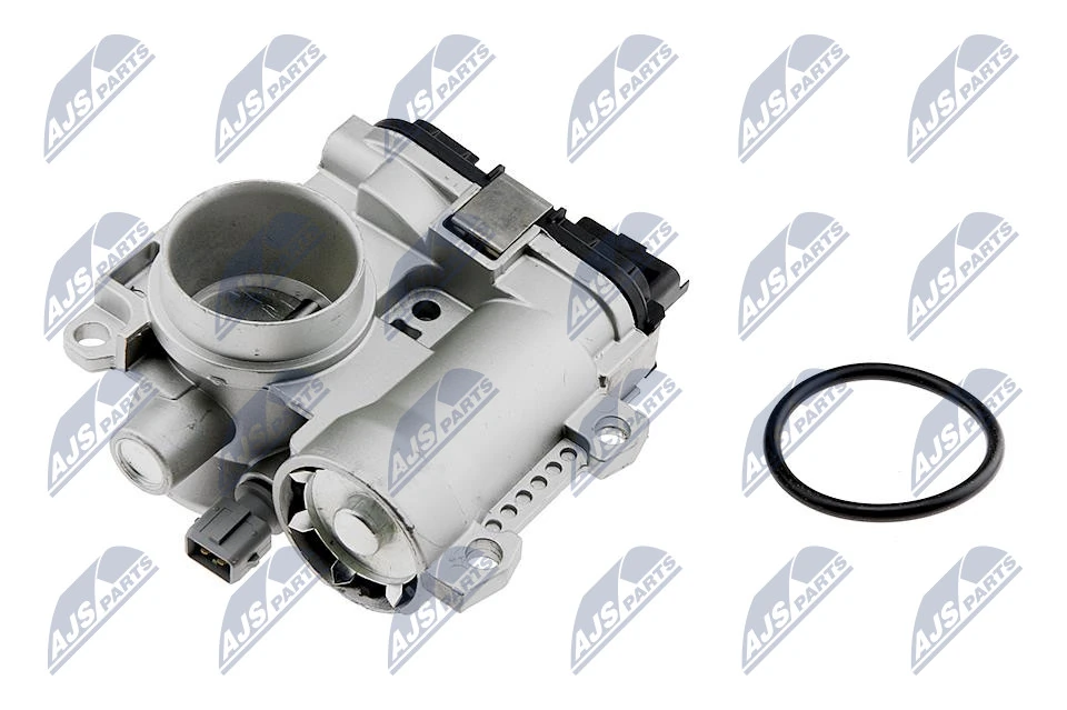 Throttle Body ETB-RE-003