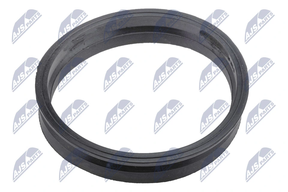 Gasket, fuel pump BPP-VW-007