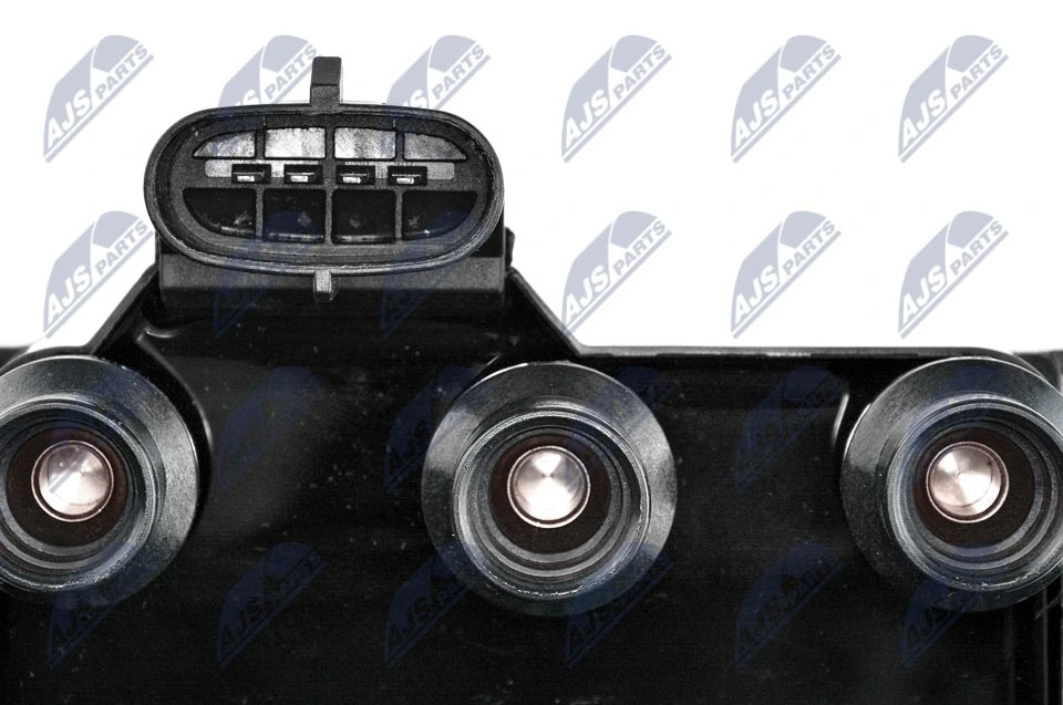 Ignition Coil ECZ-FR-005