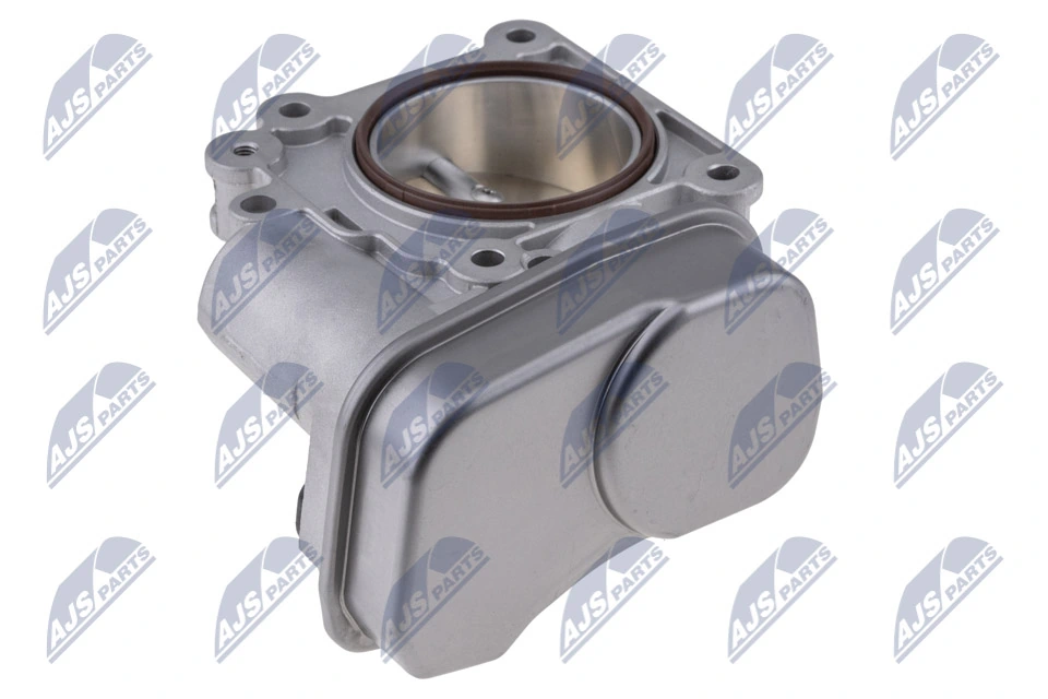 Throttle Body ETB-PL-011