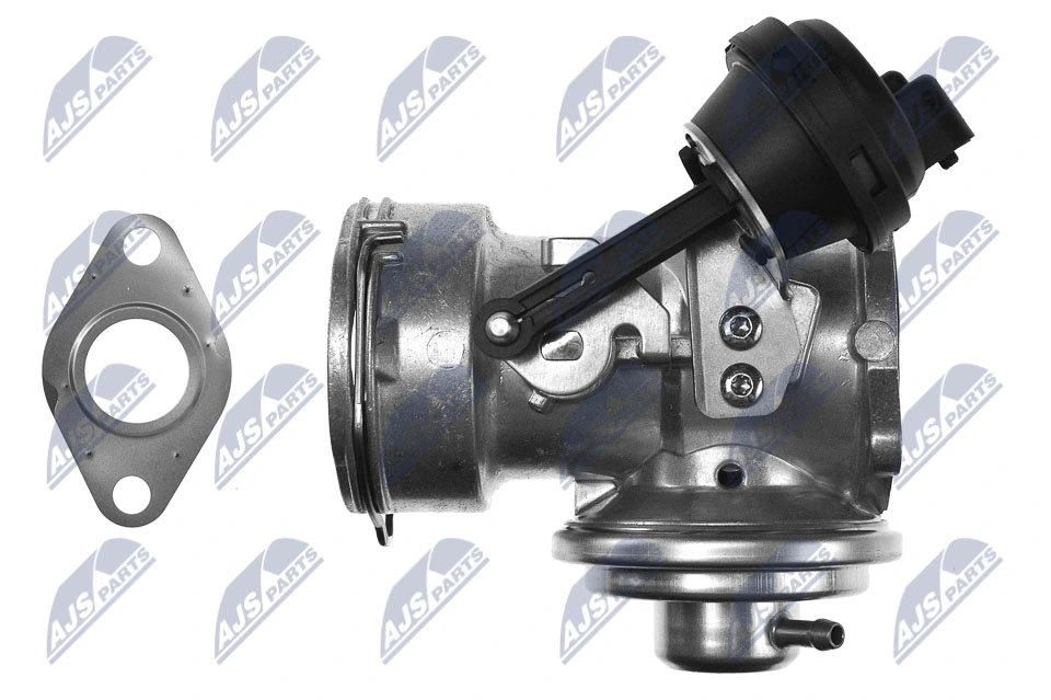 EGR Valve EGR-AU-004