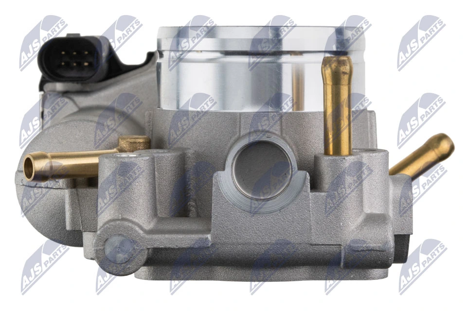 Throttle Body ETB-AU-013