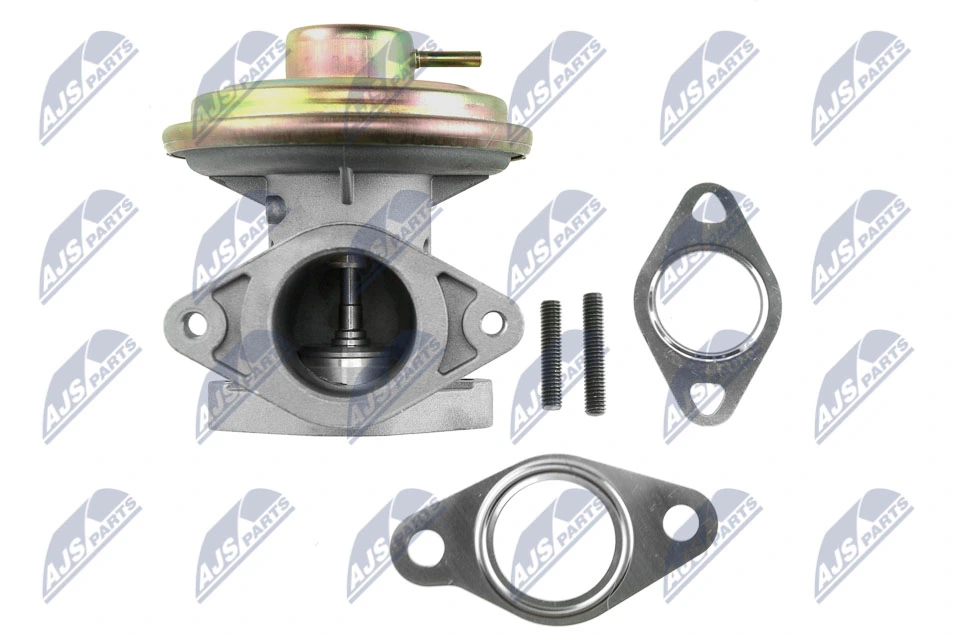 EGR Valve EGR-FR-013