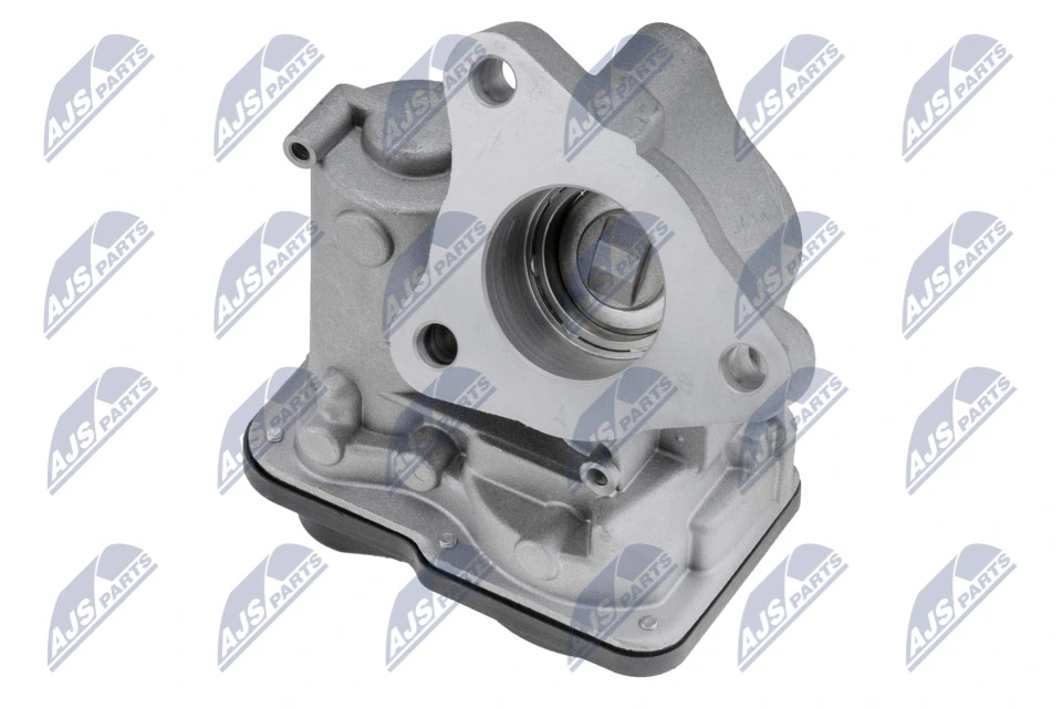 EGR Valve EGR-RE-019