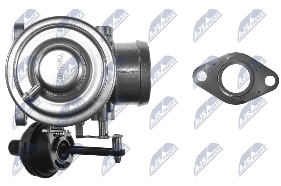 EGR Valve EGR-AU-003