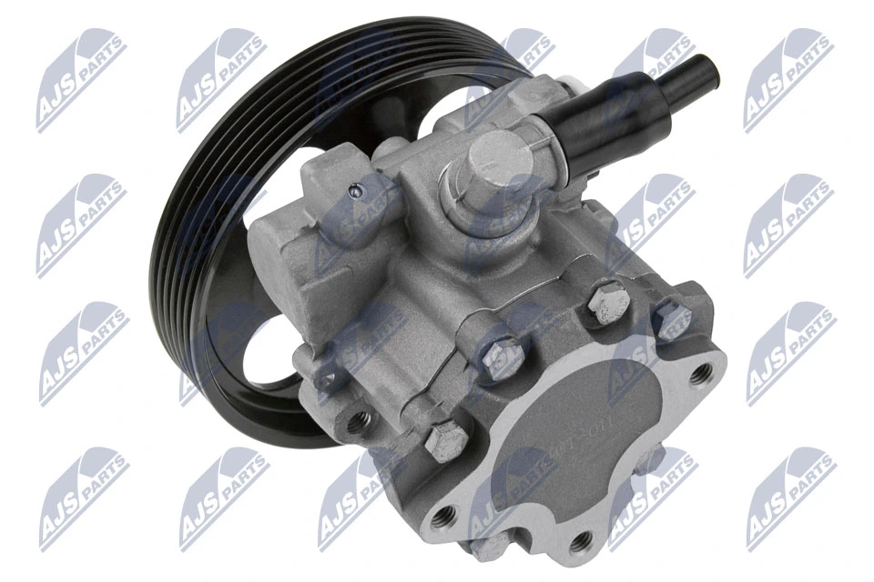 Hydraulic Pump, steering SPW-CT-011