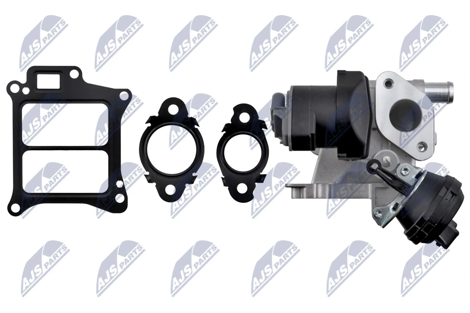 EGR Valve EGR-VV-010