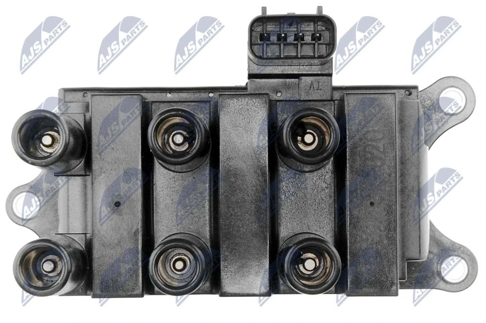 Ignition Coil ECZ-FR-020