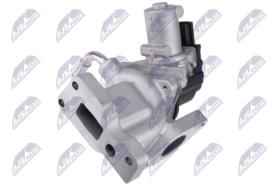 EGR Valve EGR-DW-010